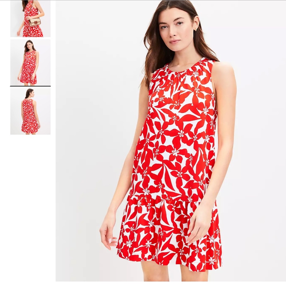 Loft Plumeria Ruched Flounce Swing Dress